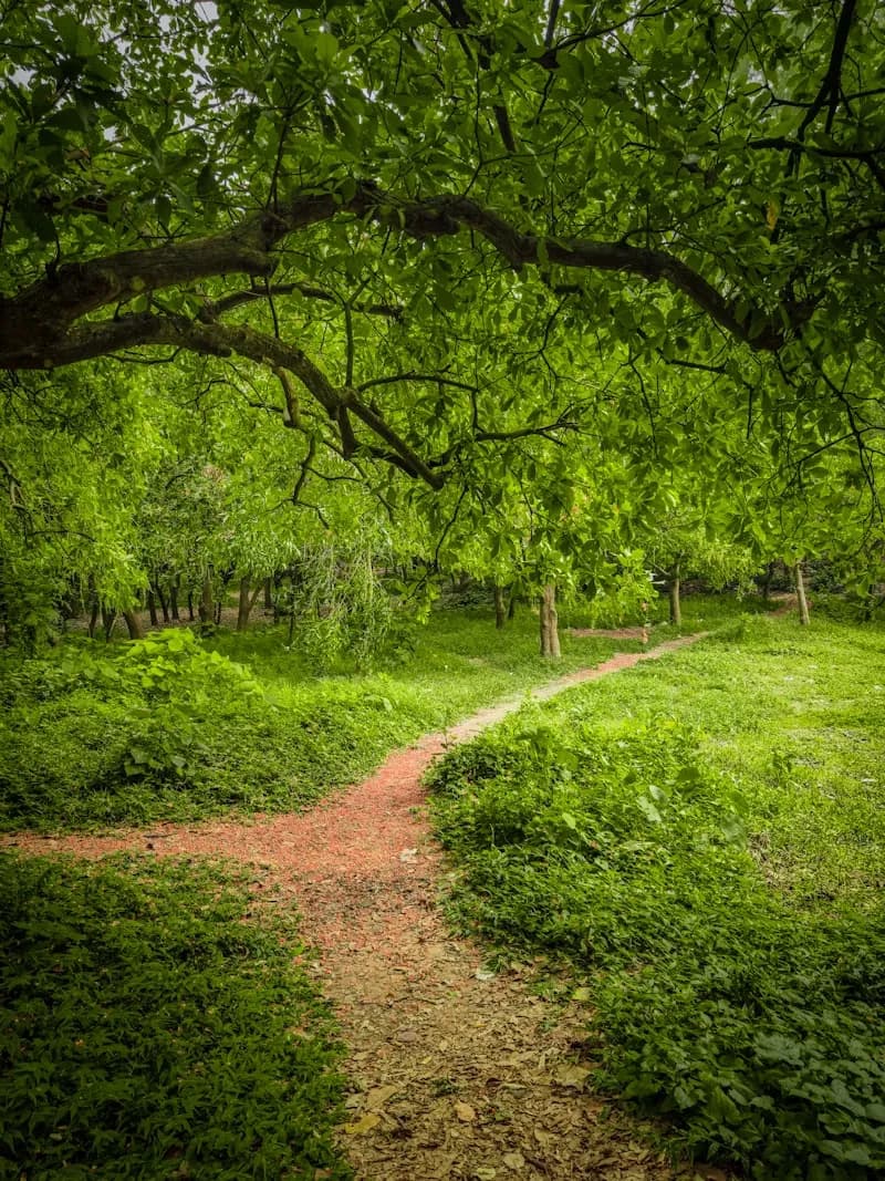 Sustainability in Digital Design